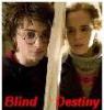 Blind Destiny